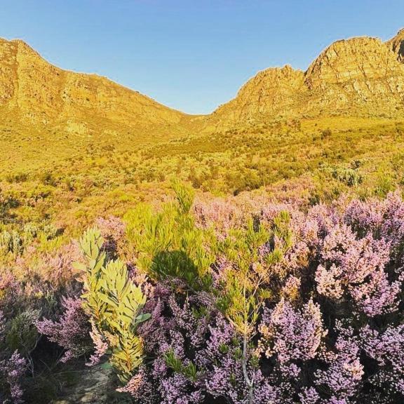 Oude Compagnies Post Villa Tulbagh Bagian luar foto